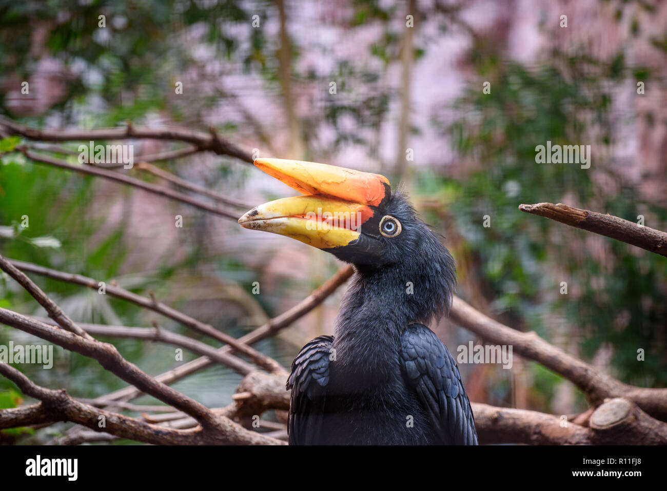 Splendido scenario autunnale nel Derbyshire, Inghilterra - Paesaggi sorprendenti e impressionante architettura - Lo Zoo di Chester Foto Stock