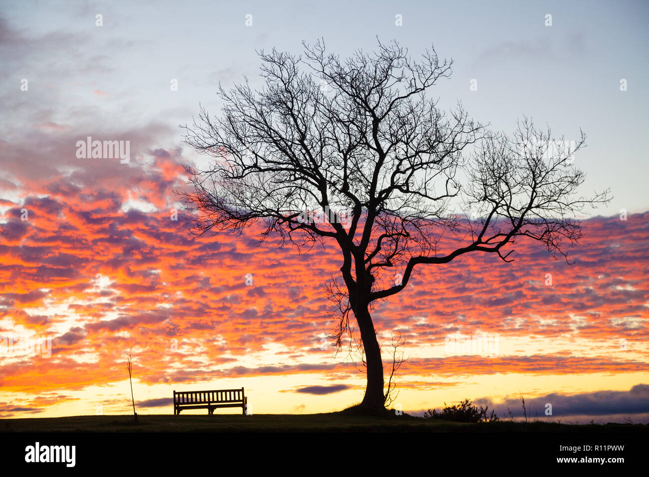 Un incredibile sunrise a Dalgety Bay Fife Scozia Scotland Foto Stock