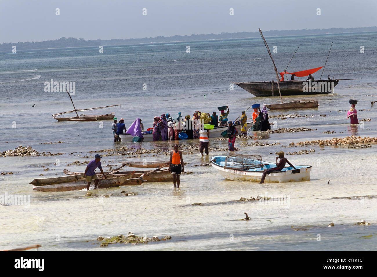 Izimkazi, Zanzibar, Tanzania - Gennaio 19, 2018: persone locali l'acquisto di pesce dal pescatore. Kizimkazi village. Zanzibar, Tanzania. Foto Stock