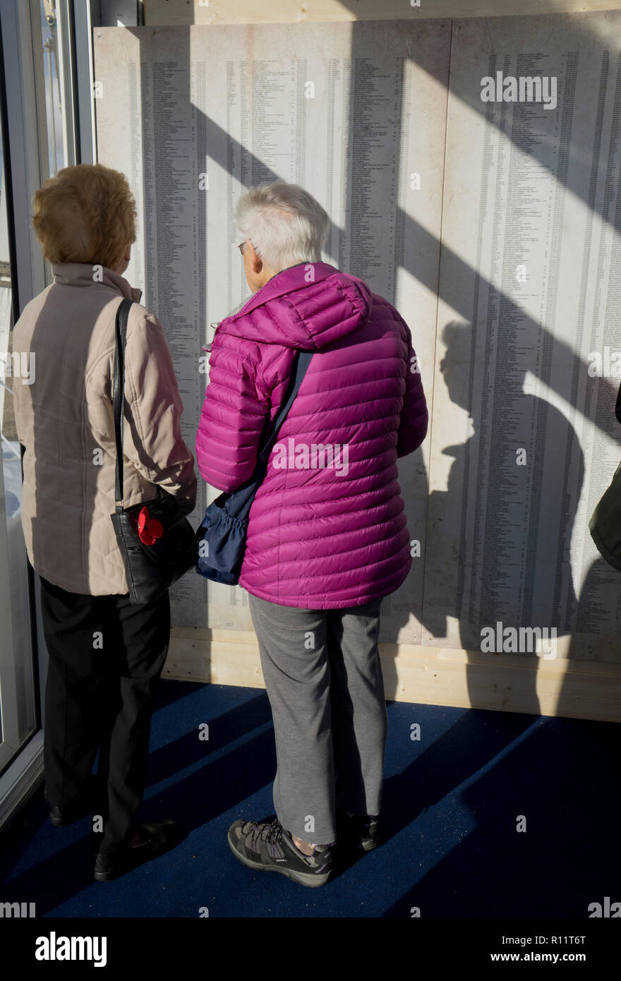 Visitatori e scolaresche leggendo i nomi dei caduti a 'Shrouds della Somme', un arte di installazione presso la Queen Elizabeth Olympic Park a Londra, Inghilterra,UK, rappresentando 72,396 Commonwealth Britannico soldati uccisi in Battaglia delle Somme più di cento anni fa Foto Stock