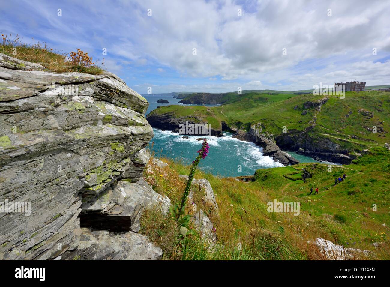 Barras naso Tintagel Castle,Cornwall,l'Inghilterra,UK Foto Stock