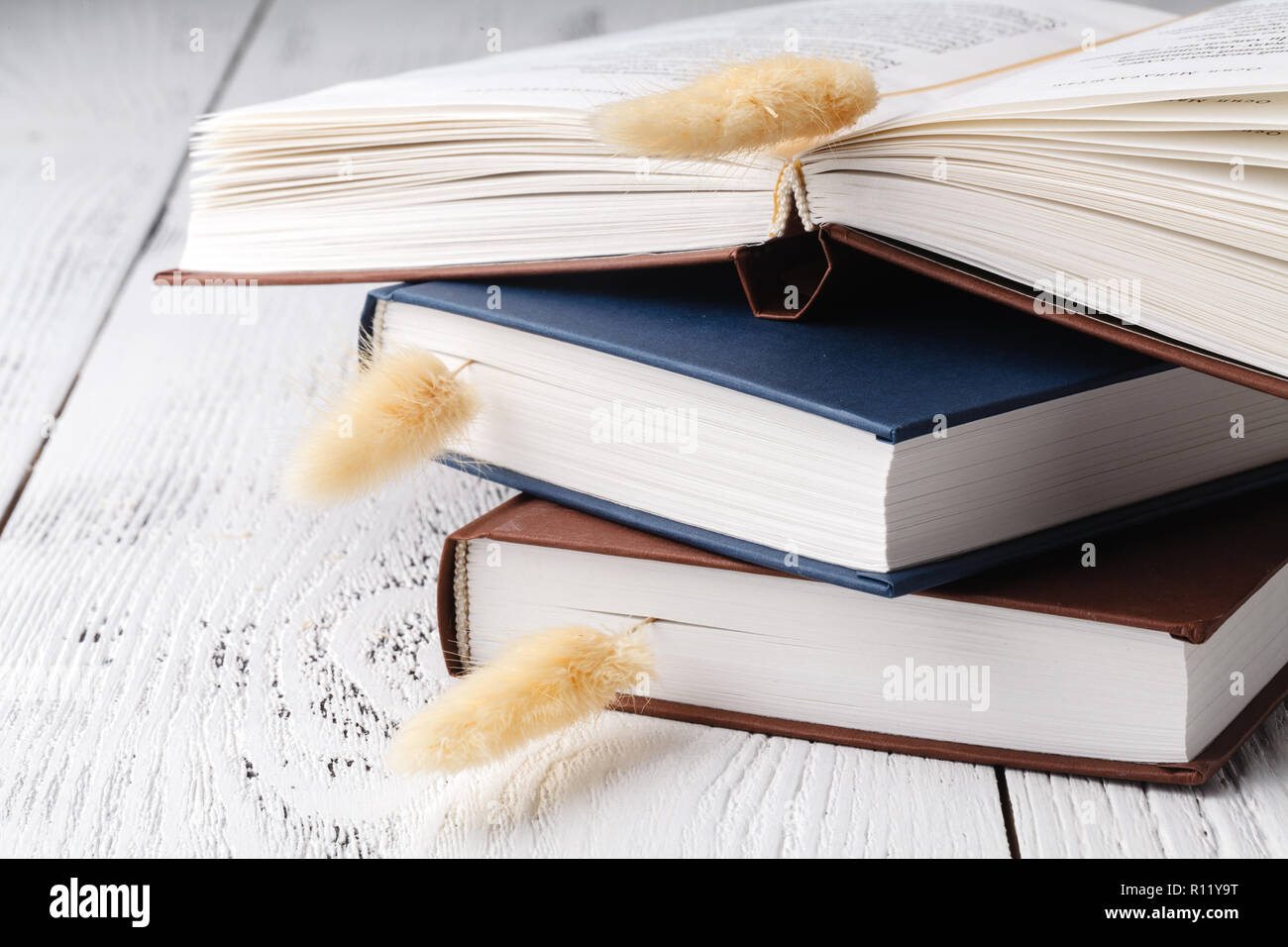 Si tratta di buone memorie, un bouquet di fiori secchi di lavanda e erba e libri Foto Stock