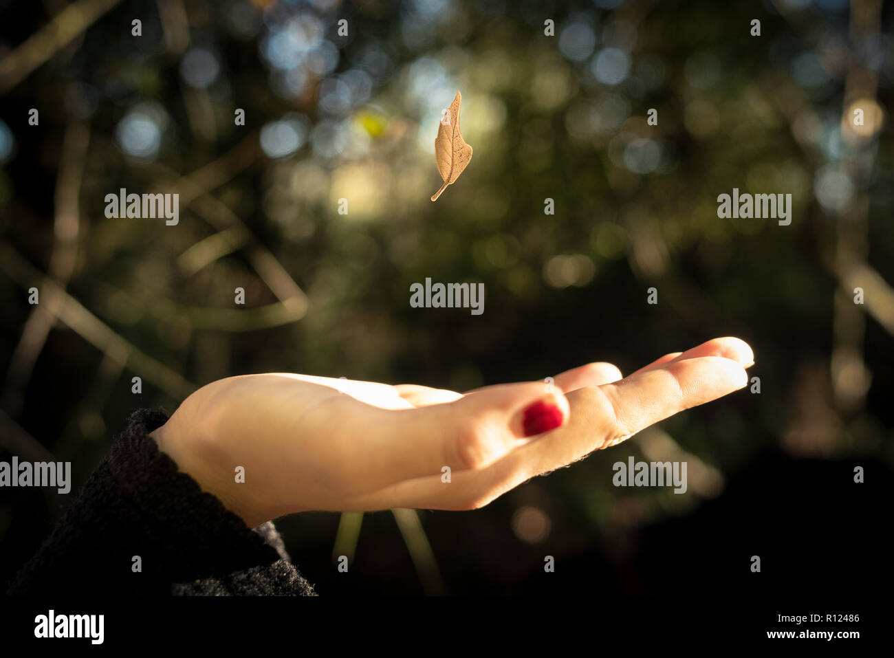 La gravità della vite Foto Stock