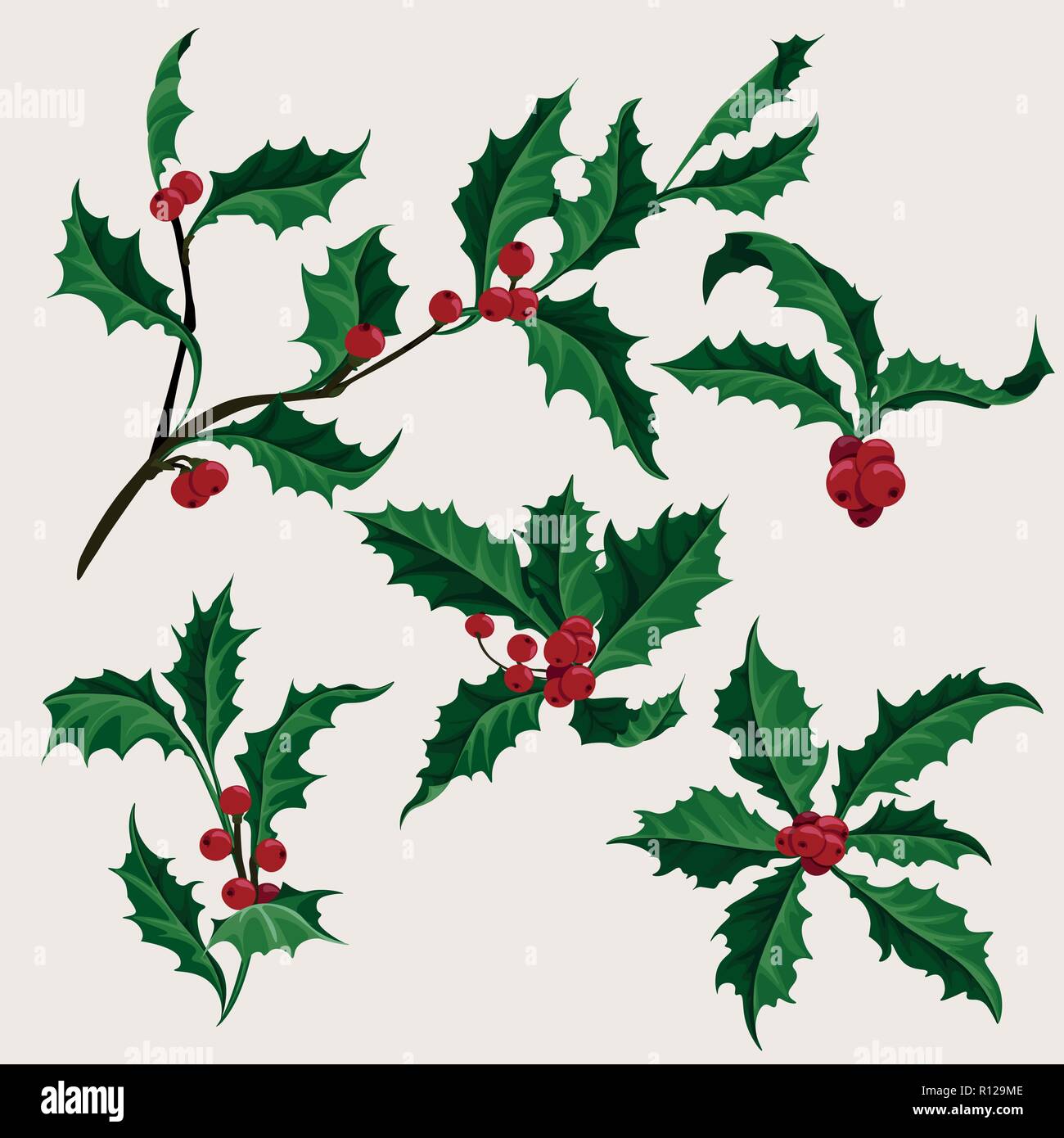 Holly clip-art vettoriali set di 5 impianto di Natale con berry, illustrazione di vacanza Illustrazione Vettoriale