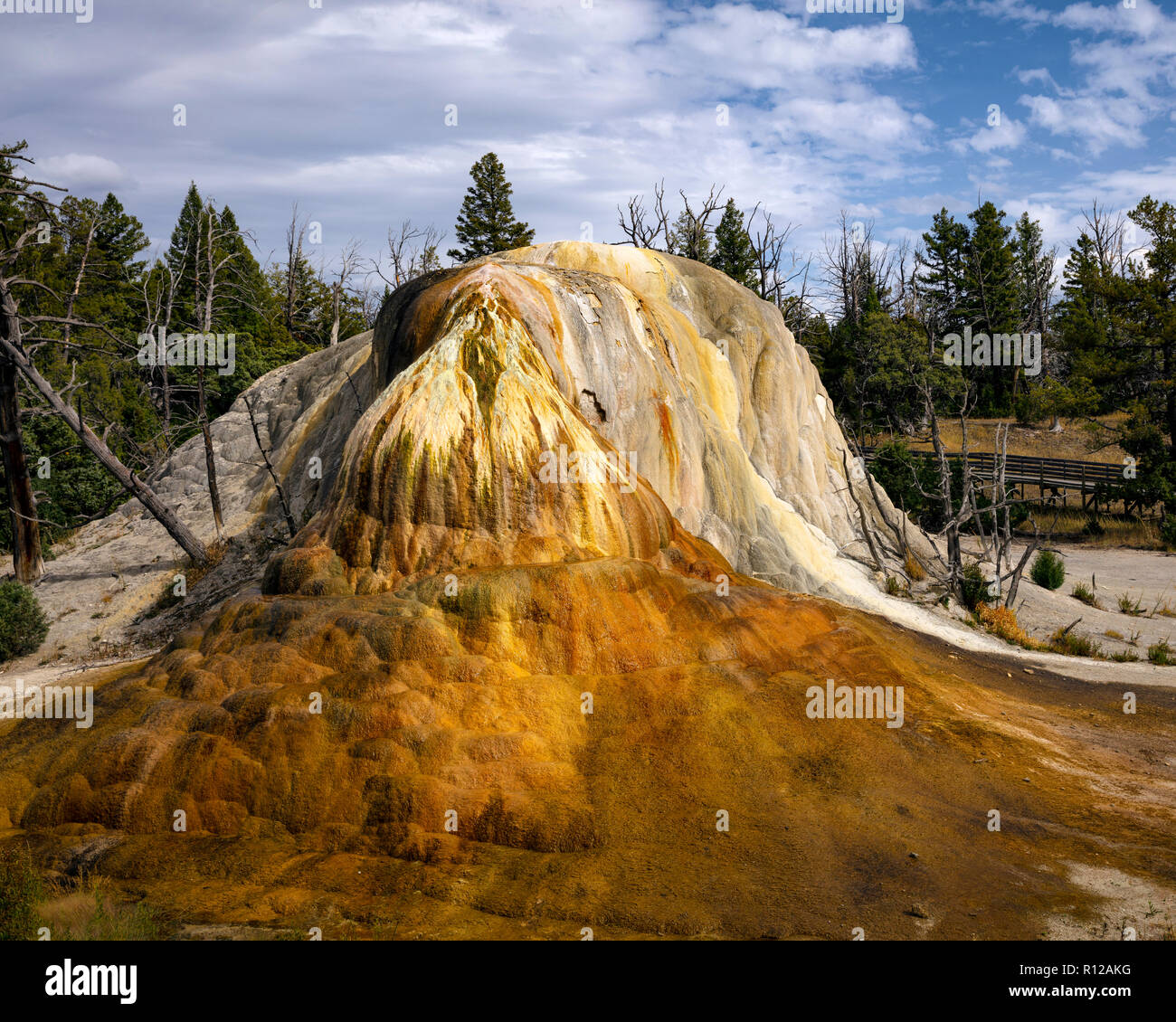 WY03505-00...WYOMING - Orange Mound lungo la terrazza superiore rigido nel Mammoth Hot Springs area del Parco Nazionale di Yellowstone. Foto Stock