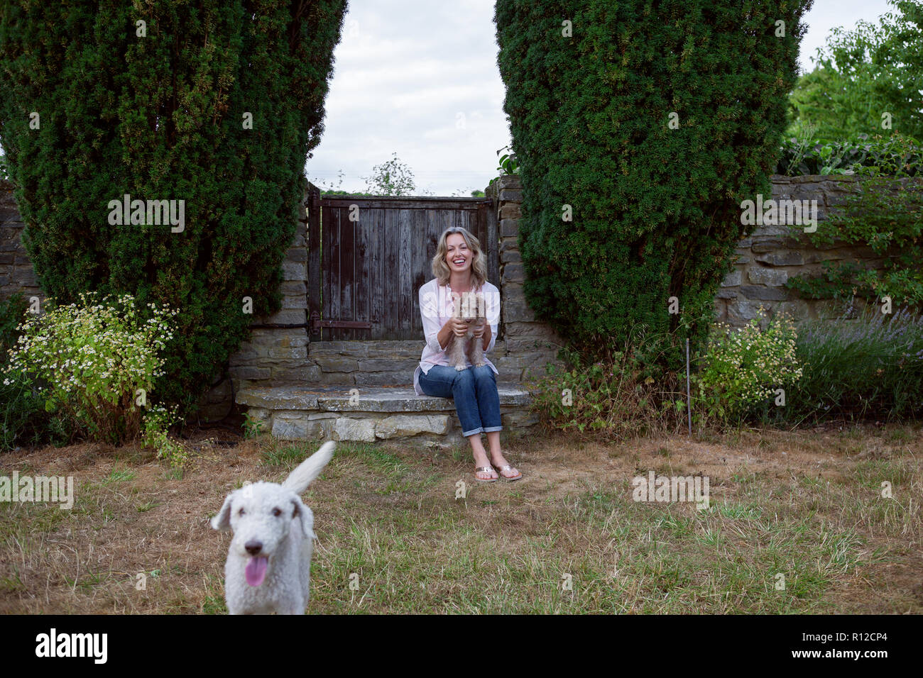 Donna matura con due cani seduti in giardino, ritratto Foto Stock