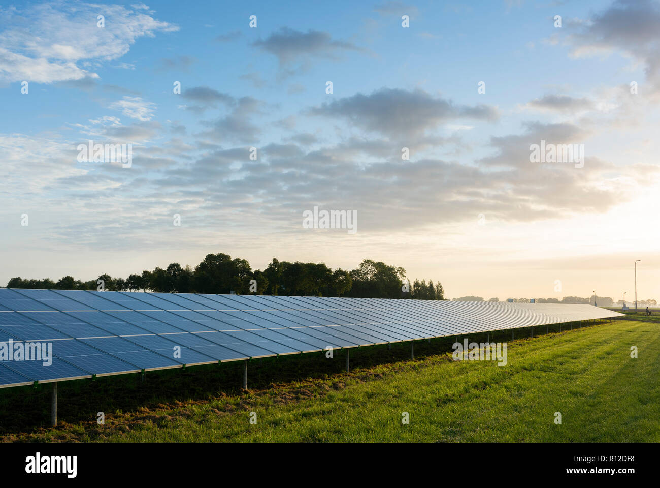 Fattoria solare, Noordoostpolder, Emmeloord, Flevoland, Paesi Bassi Foto Stock