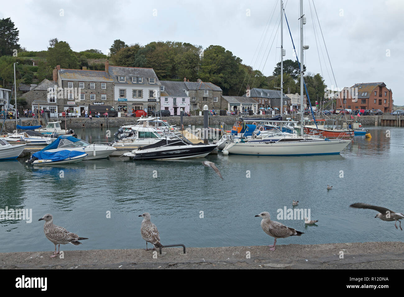 Porto, Padstow, Cornwall, Inghilterra, Gran Bretagna Foto Stock