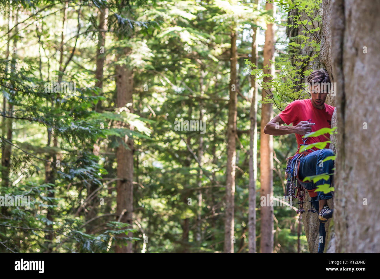 Scalatore di scaling di roccia vicino agli alberi, Squamish, Canada Foto Stock