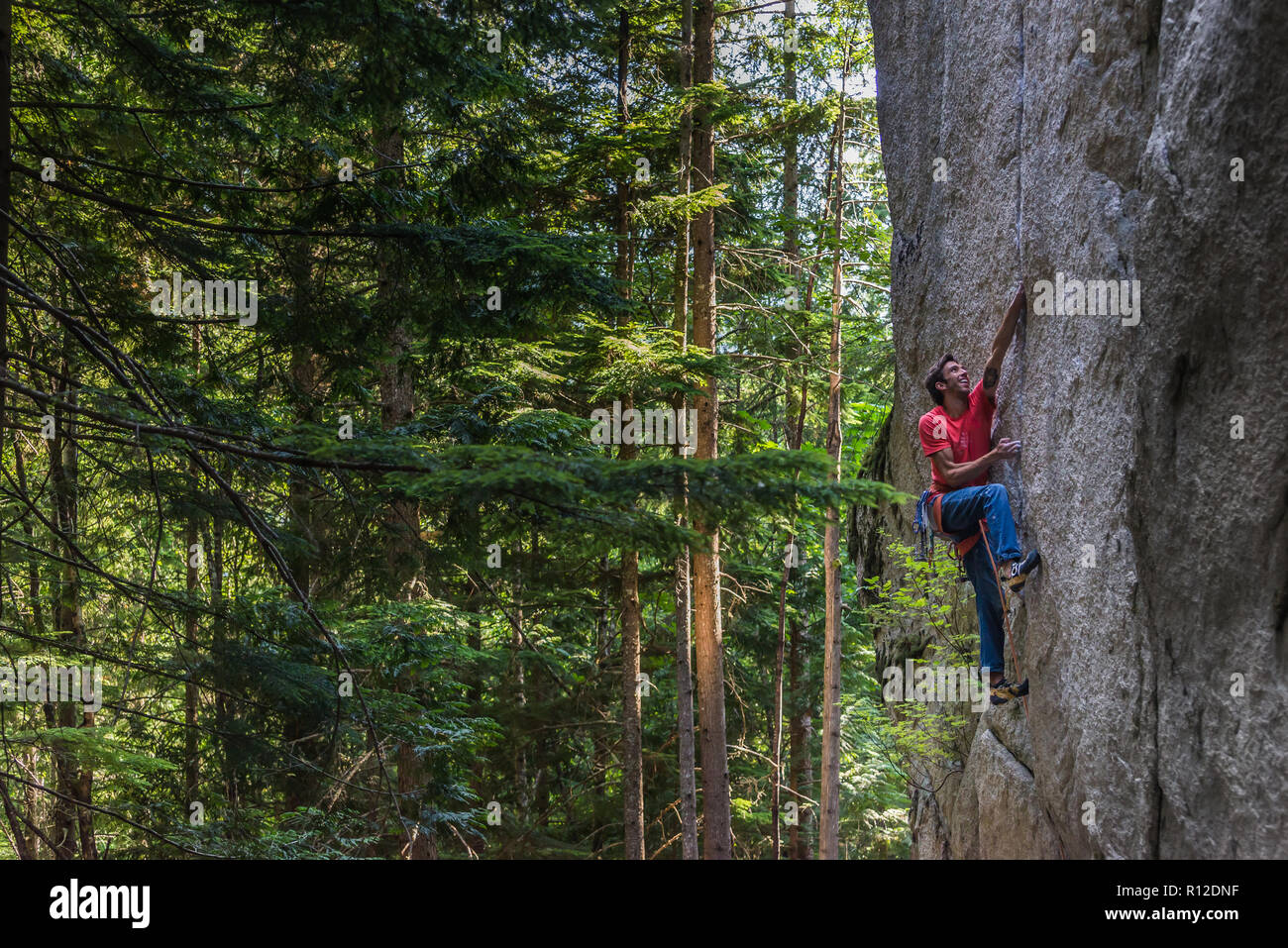 Scalatore di scaling di roccia vicino agli alberi, Squamish, Canada Foto Stock
