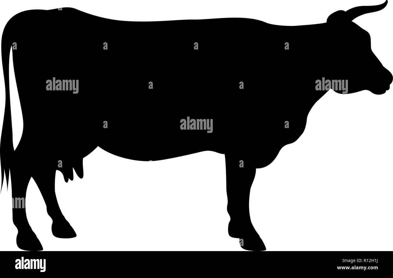 Vector silhouette di una mucca isolato su bianco Illustrazione Vettoriale