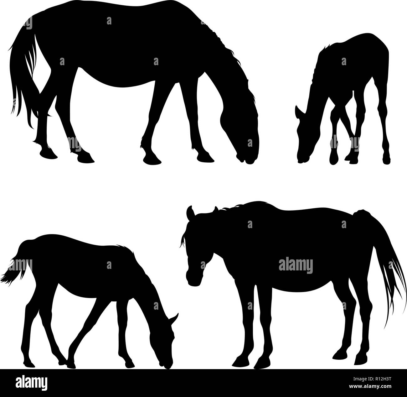 Vettore sagome di cavalli e puledri isolato su bianco Illustrazione Vettoriale