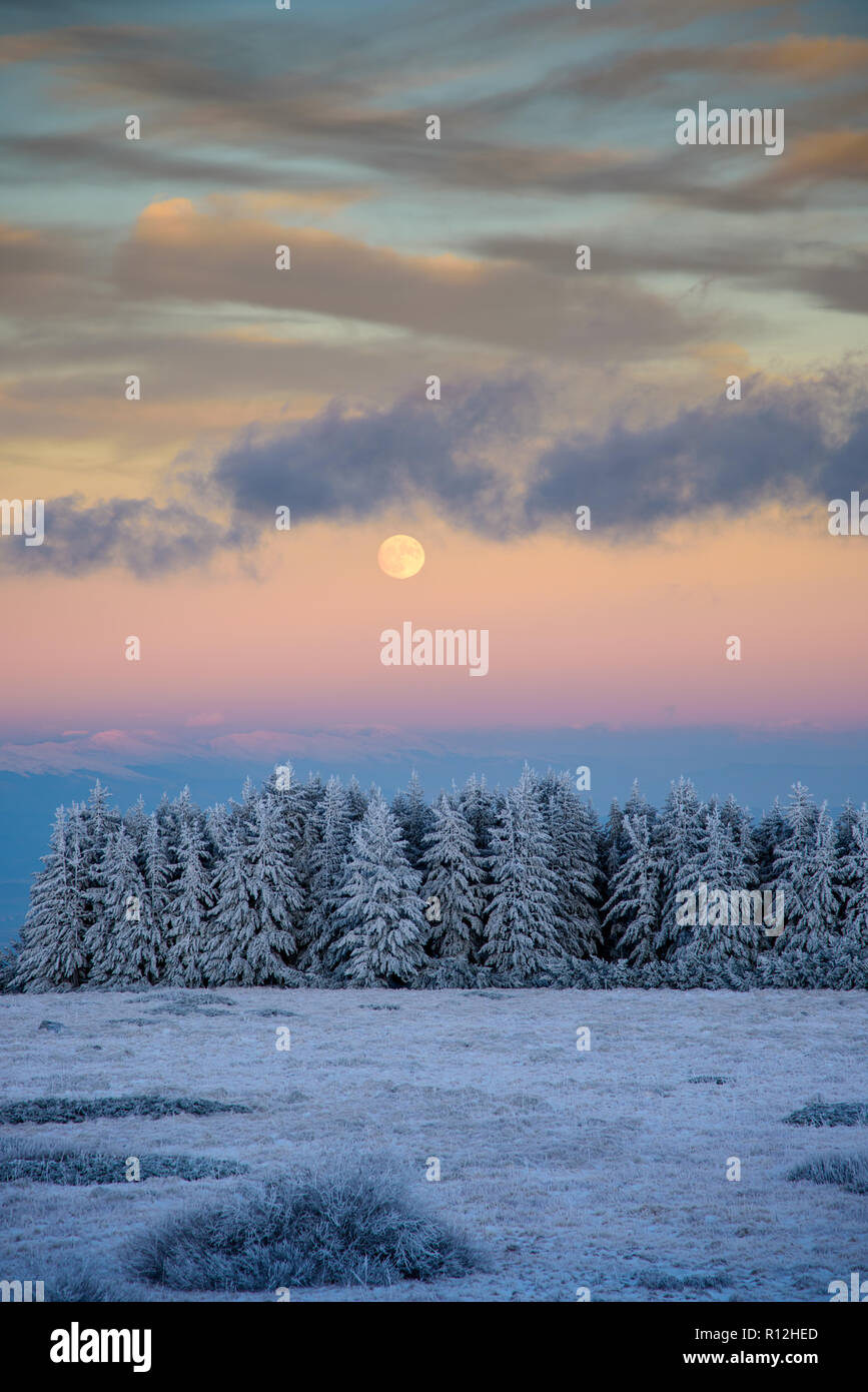 Un tramonto meraviglioso in cima a una montagna - congelati paesaggio, colori vivaci, fredda sera - Snow capped alberi sotto leggera al chiaro di luna Foto Stock