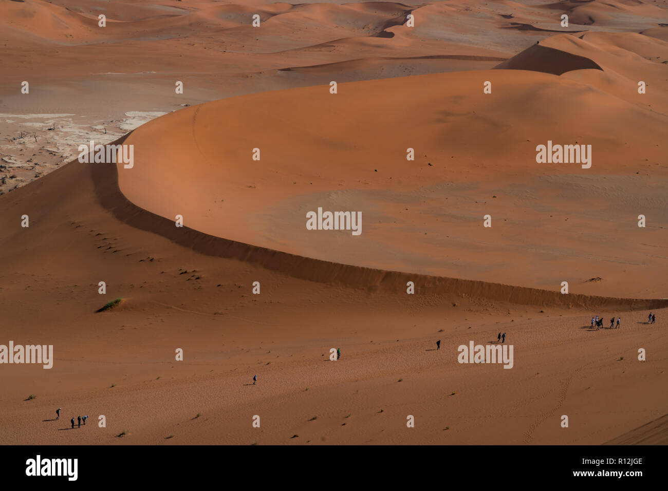Turisti che scalano dune di sabbia, Sossusvlei, deserto del Namib, Namib-Naukluft Park, Namibia Foto Stock