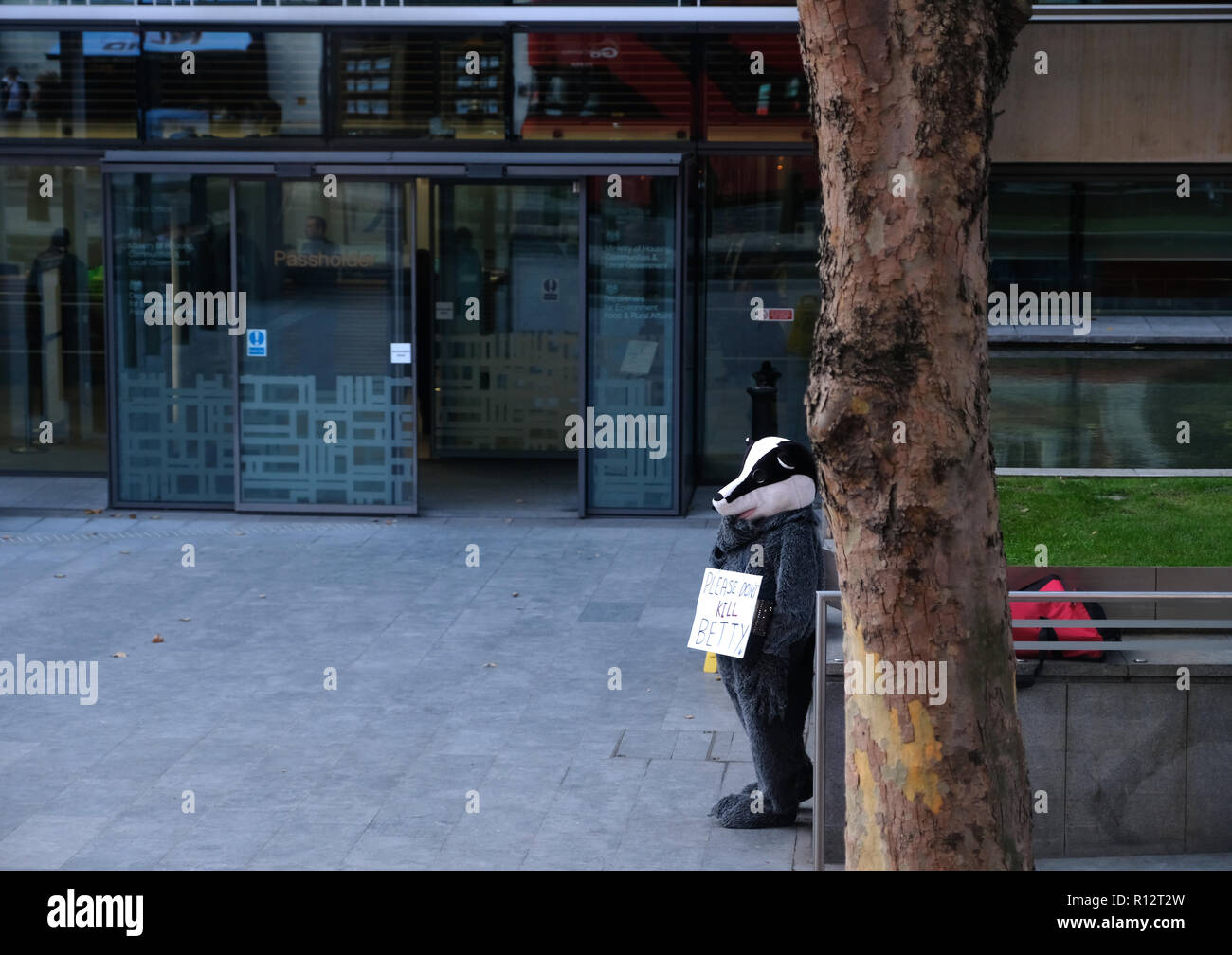 Londra, Regno Unito. 8 Nov 2018. Un manifestante solitario vestito come un badger sorge al di fuori della Home Office protestando contro Badger abbattimenti Credito: Londonphotos/Alamy Live News Foto Stock
