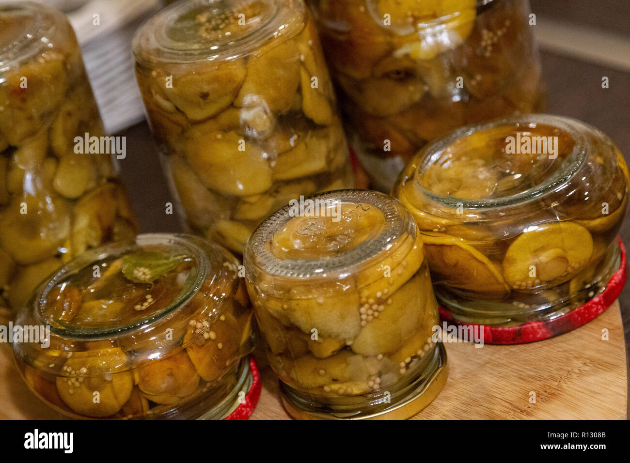 Sierakow, Polonia. 08 Nov 2018. Una grande crescita di funghi selvatici in foreste polacche. Molto calde notti circa 10 gradi celsius e alta umidità in novembre. Tutto questo significa che nei boschi per circa 2 ore è possibile raccogliere 20 kg di funghi. Credito: Slawomir Kowalewski/Alamy Live News Foto Stock