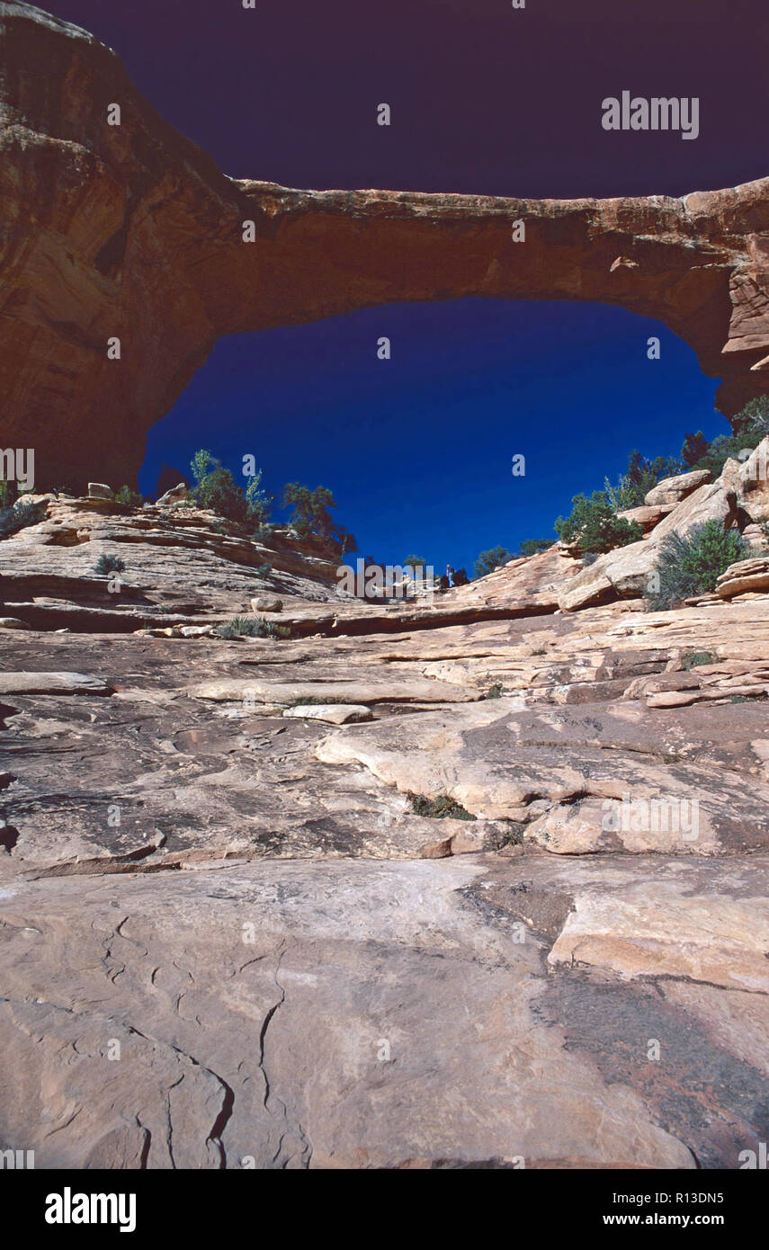 Owachomo Bridge,ponti naturali Monumento Nazionale,Utah Foto Stock