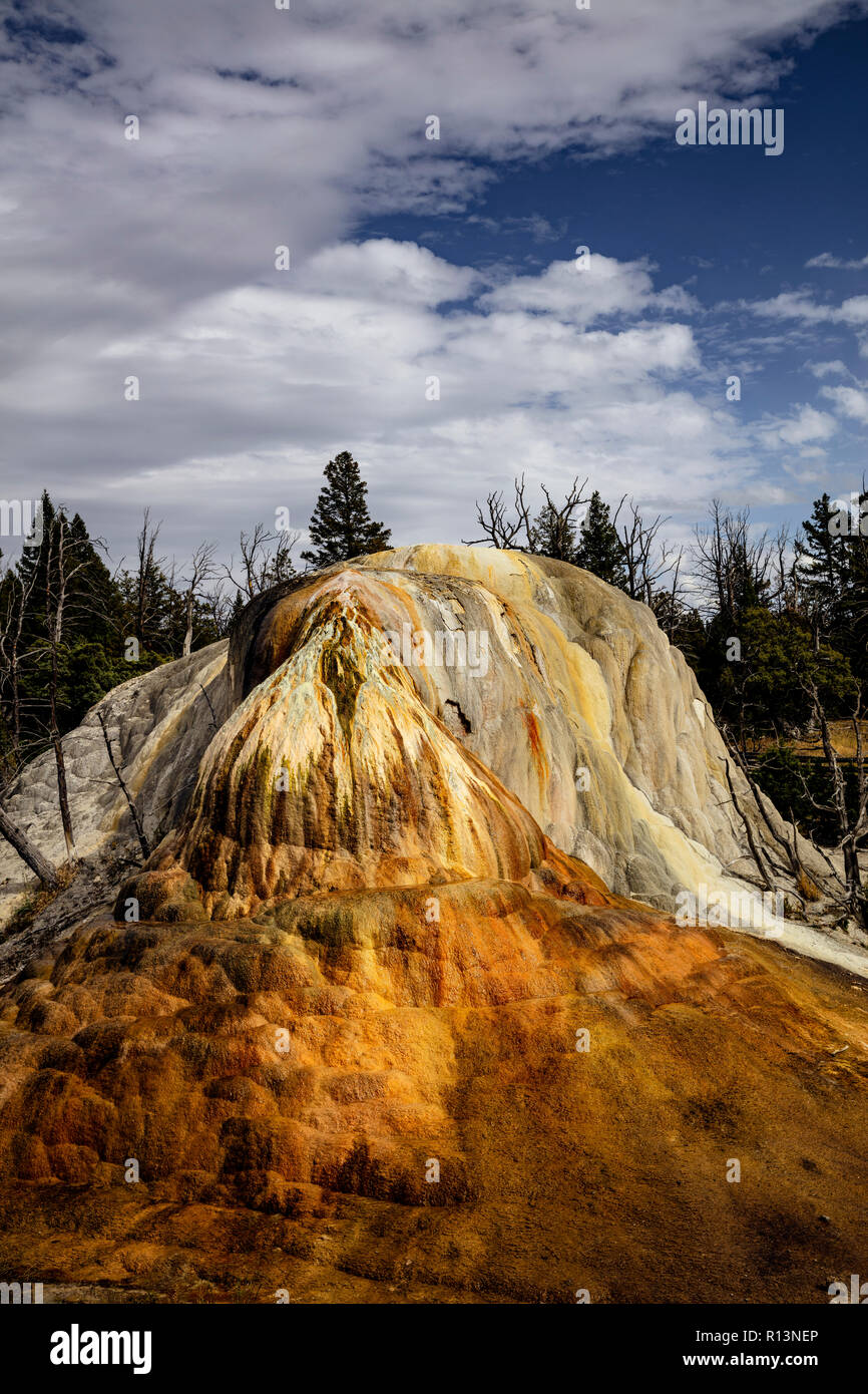 WY03506-00...WYOMING - Orange Mound lungo la terrazza superiore rigido nel Mammoth Hot Springs area del Parco Nazionale di Yellowstone. Foto Stock