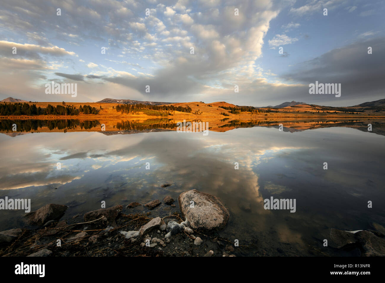 WY03508-00...WYOMING - Swan Lake lungo Mammoth Norris Road nel Parco Nazionale di Yellowstone. Foto Stock