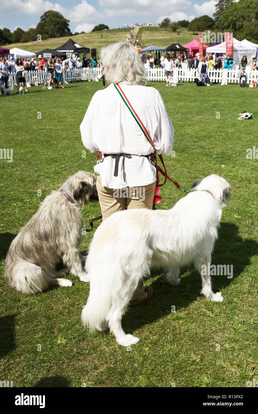 Proprietario del cane a dog show, Primrose Hill, Londra, Regno Unito. Foto Stock