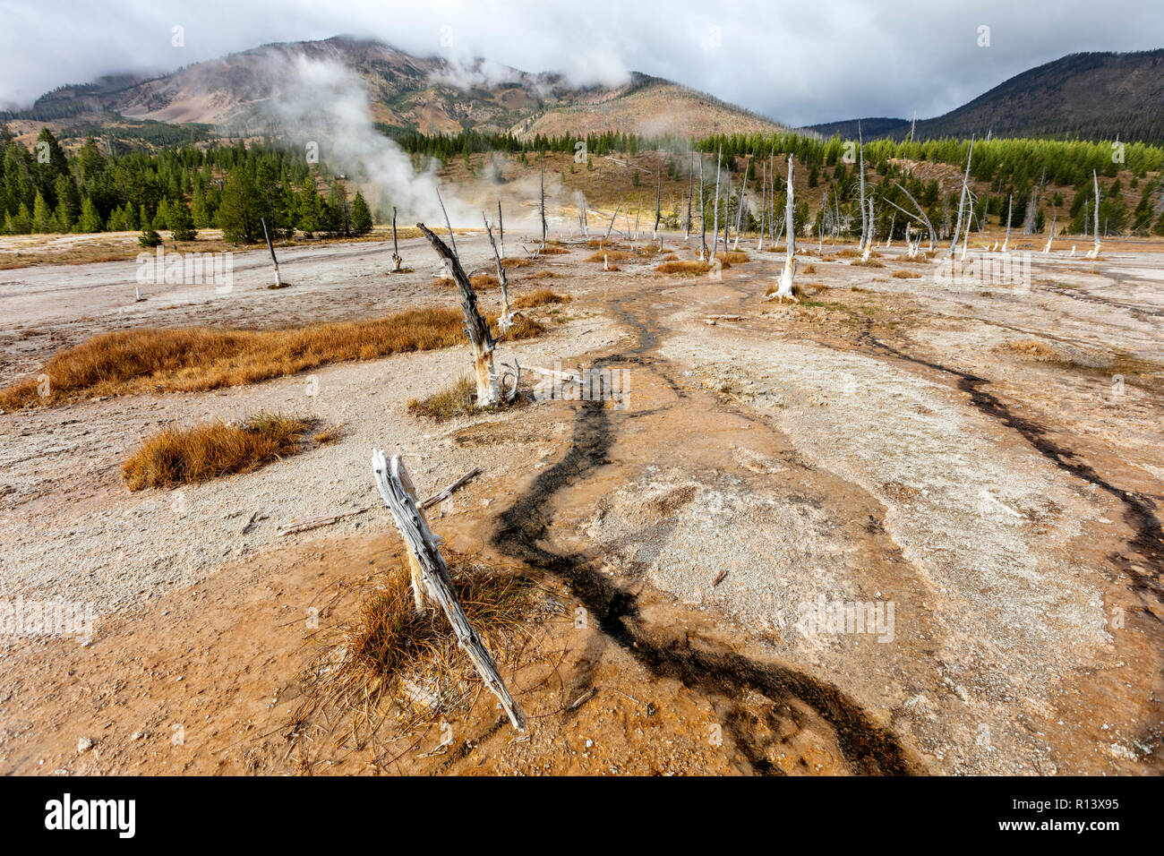 WY03579-00...WYOMING - Cuore Lago Geyser Basin alla base dei Monti Rossi nel Parco Nazionale di Yellowstone. Foto Stock
