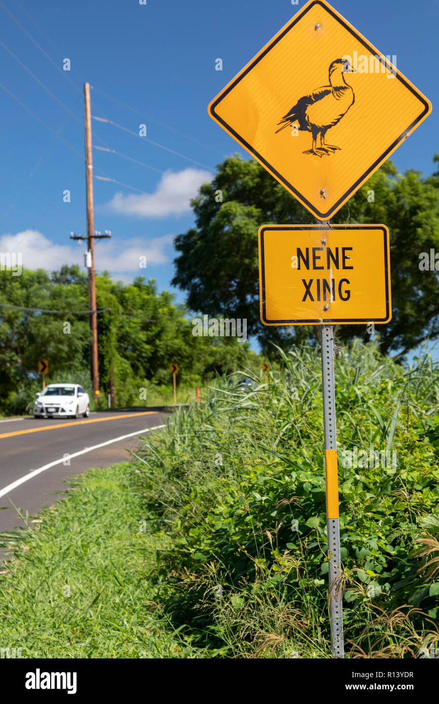 Puuanahulu, Hawaii - Un segno avverte i driver per essere consapevoli di nene, l'oca hawaiana. Il nene Hawaii è stato dell'uccello. Si è trovato solo in Hawaii ed è Foto Stock