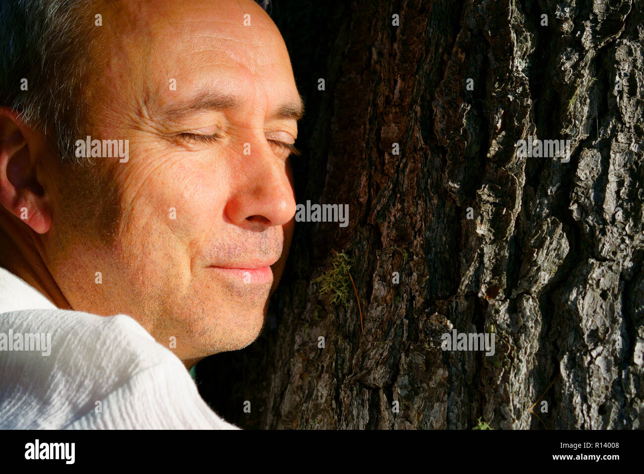 Un uomo caucasico, 50's, sta abbracciando un grande albero pacificamente per condividere le energie. Foto Stock