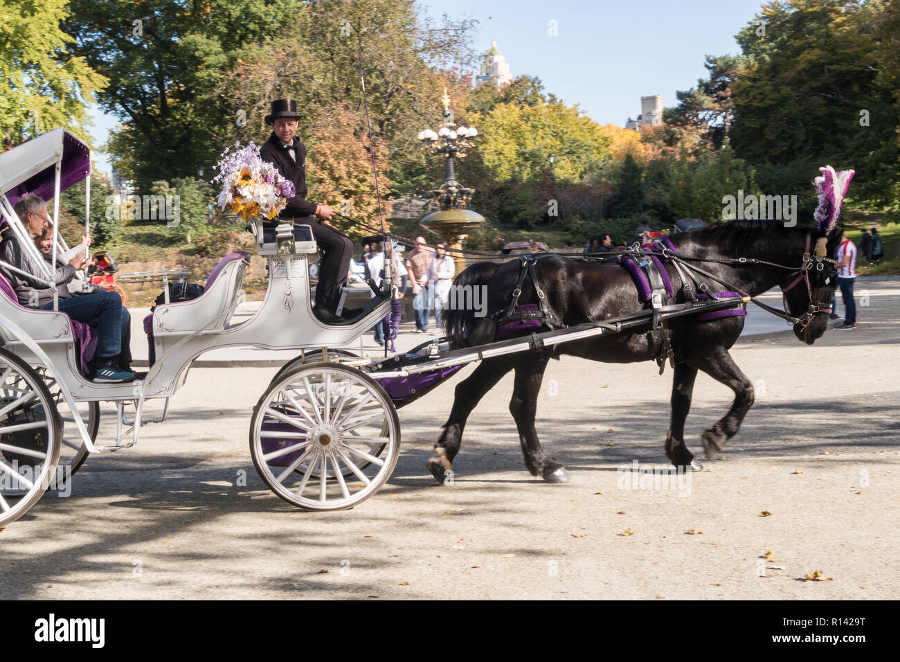 Cavallo e Carrozza nel parco centrale touring a Cherry Hill Fontana, NYC Foto Stock