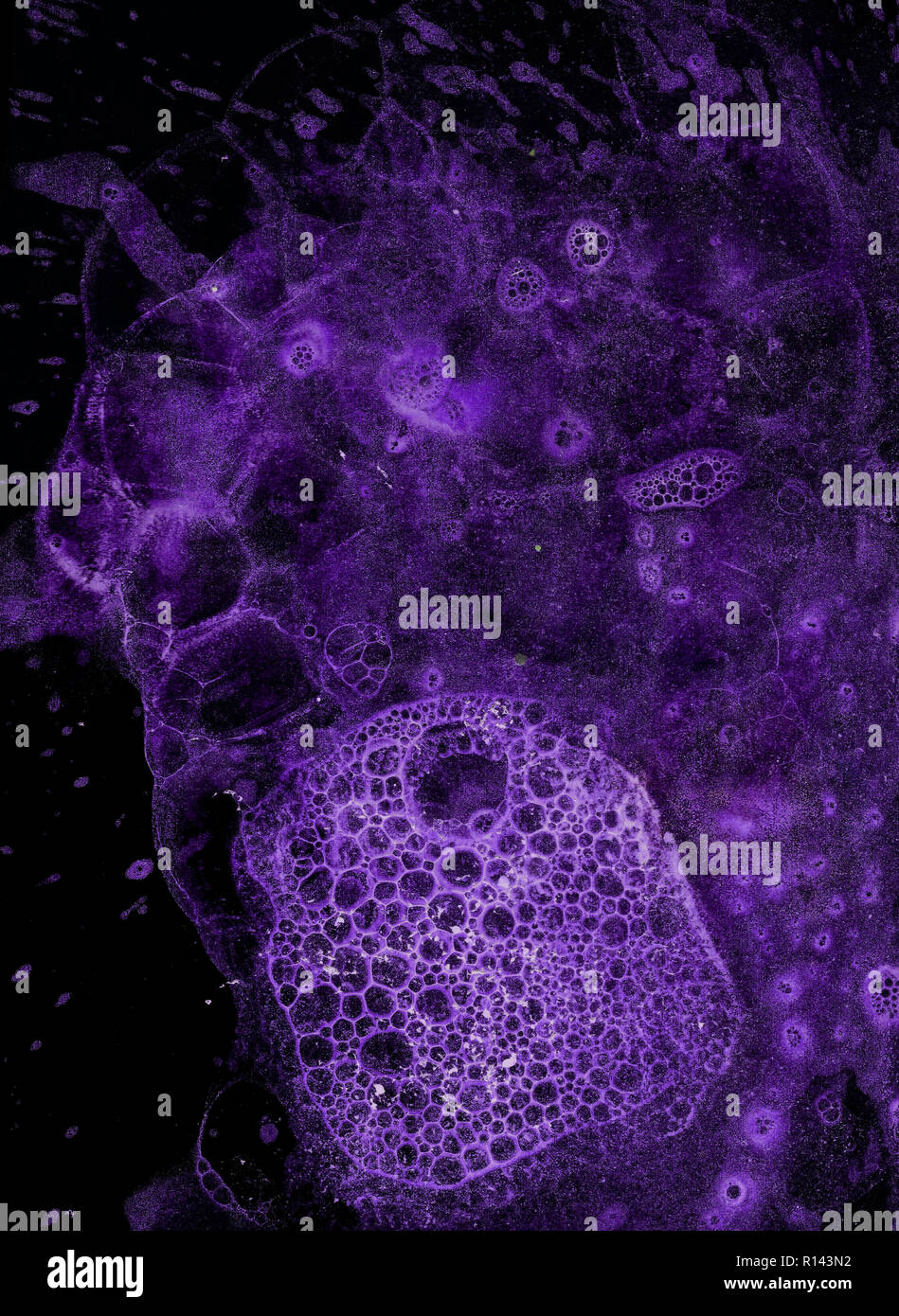 Abstract grunge sfondo cellulare contro il nero Foto Stock
