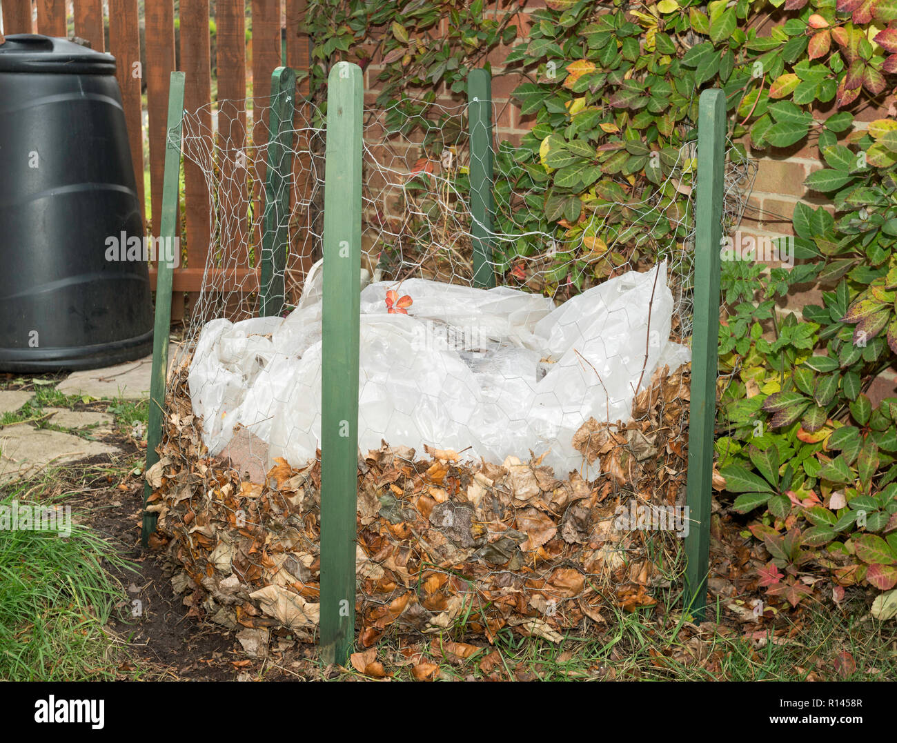 Realizzazione stampo foglia, un filo di pollo enclosure e un foglio di politene coperchio, giardino interno, England, Regno Unito Foto Stock