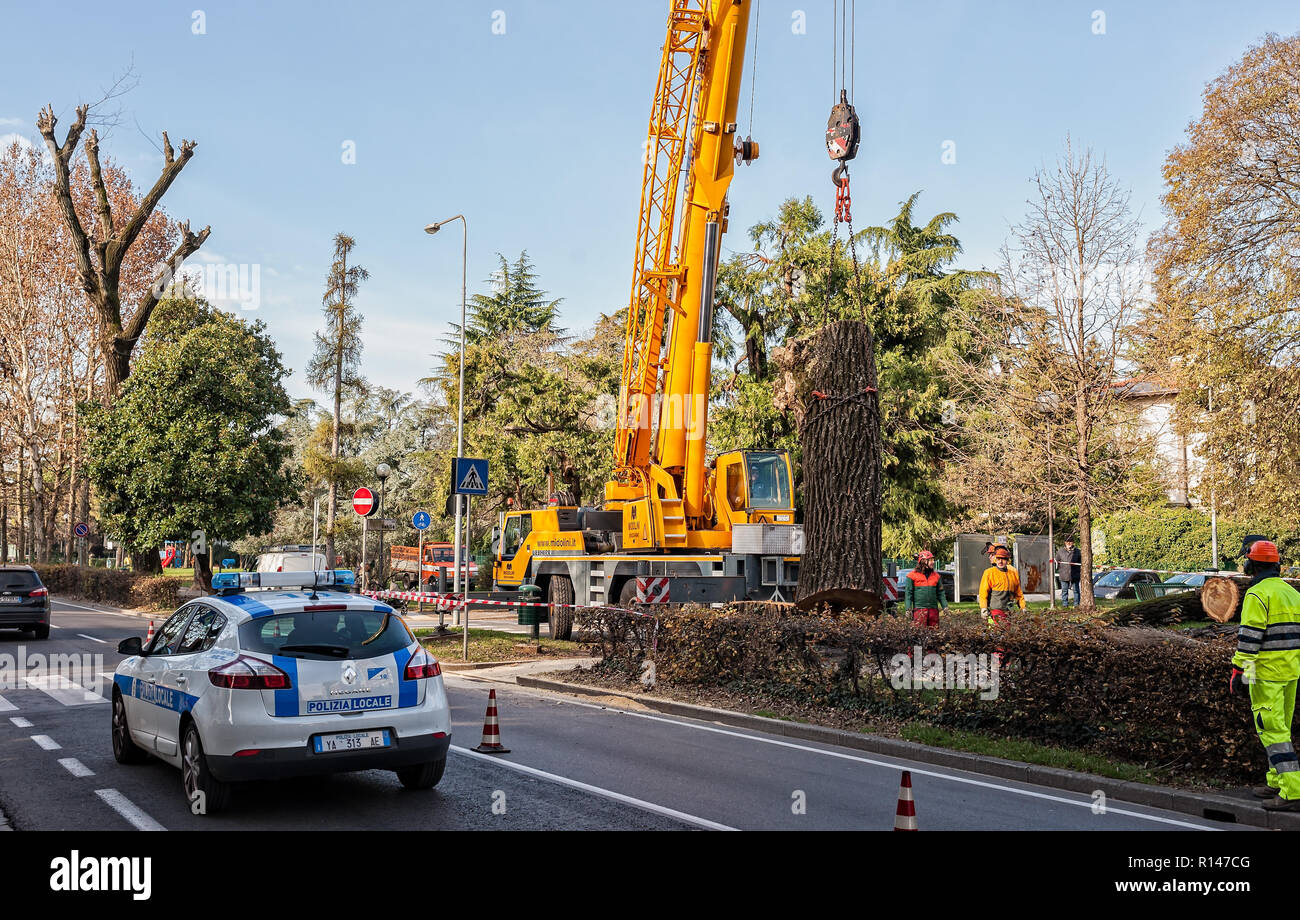 Udine, Italia - 12 Gennaio 2016: manutenzione del verde pubblico. Il taglio di un albero malato. Foto Stock