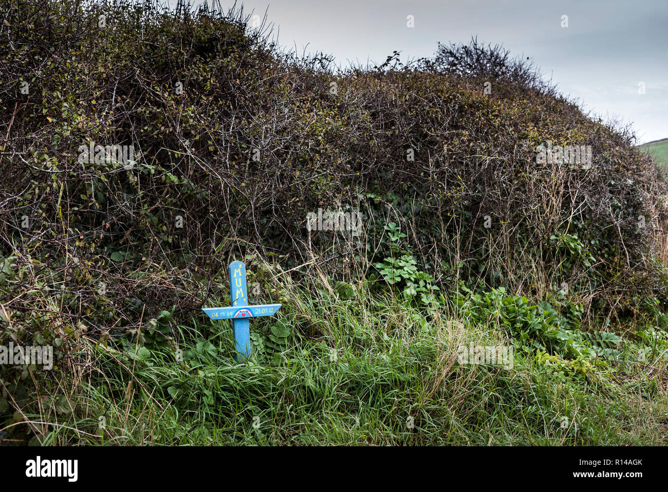 Una mano di legno verniciato memorial croce collocata tra la vegetazione sul Gannel Estuary in Newquay Cornwall. Foto Stock