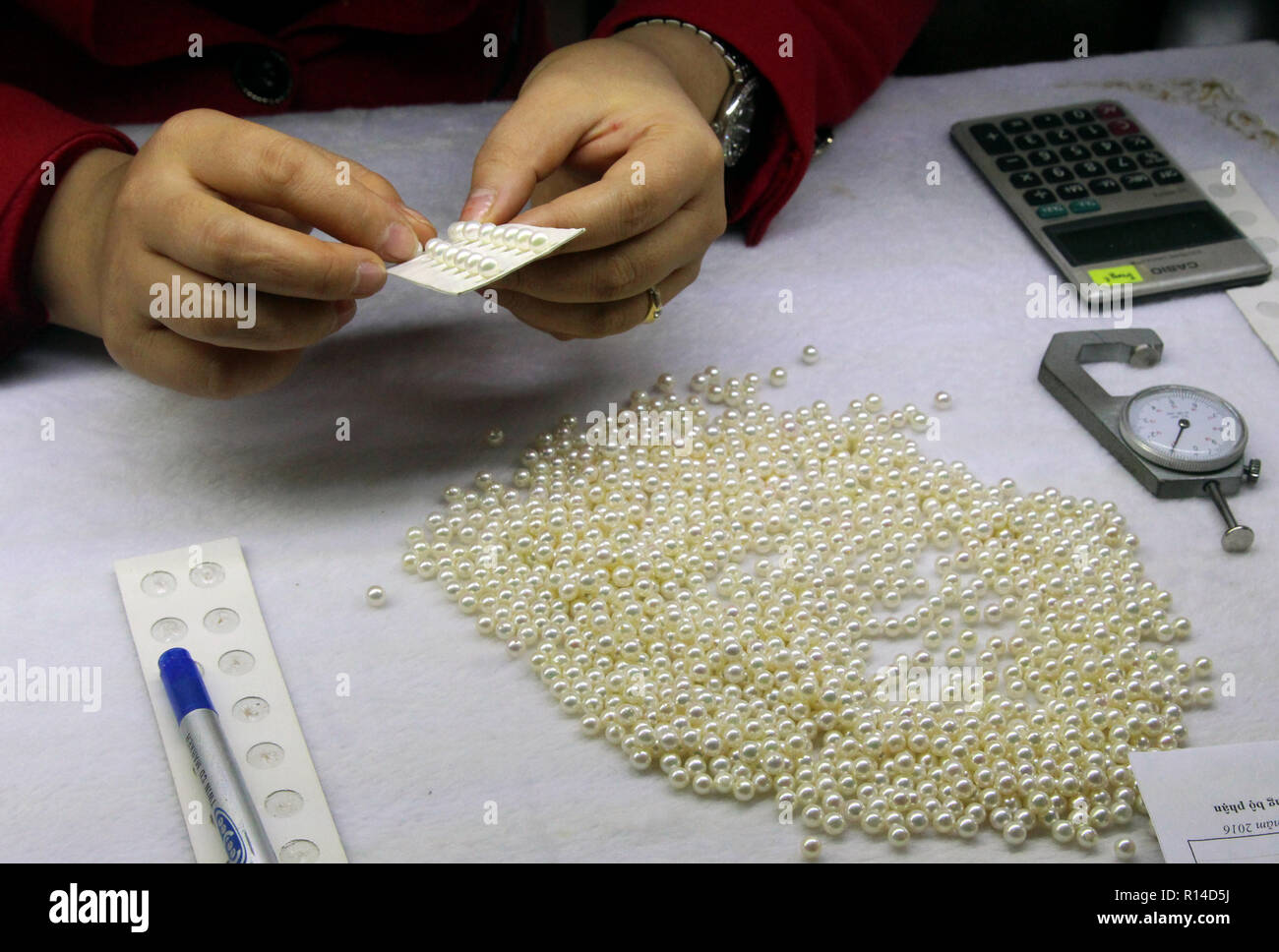 Perle corrispondenti a coppie di orecchini a My Ngoc Ha Long Pearl Jsc, Ha Long, Vietnam Foto Stock