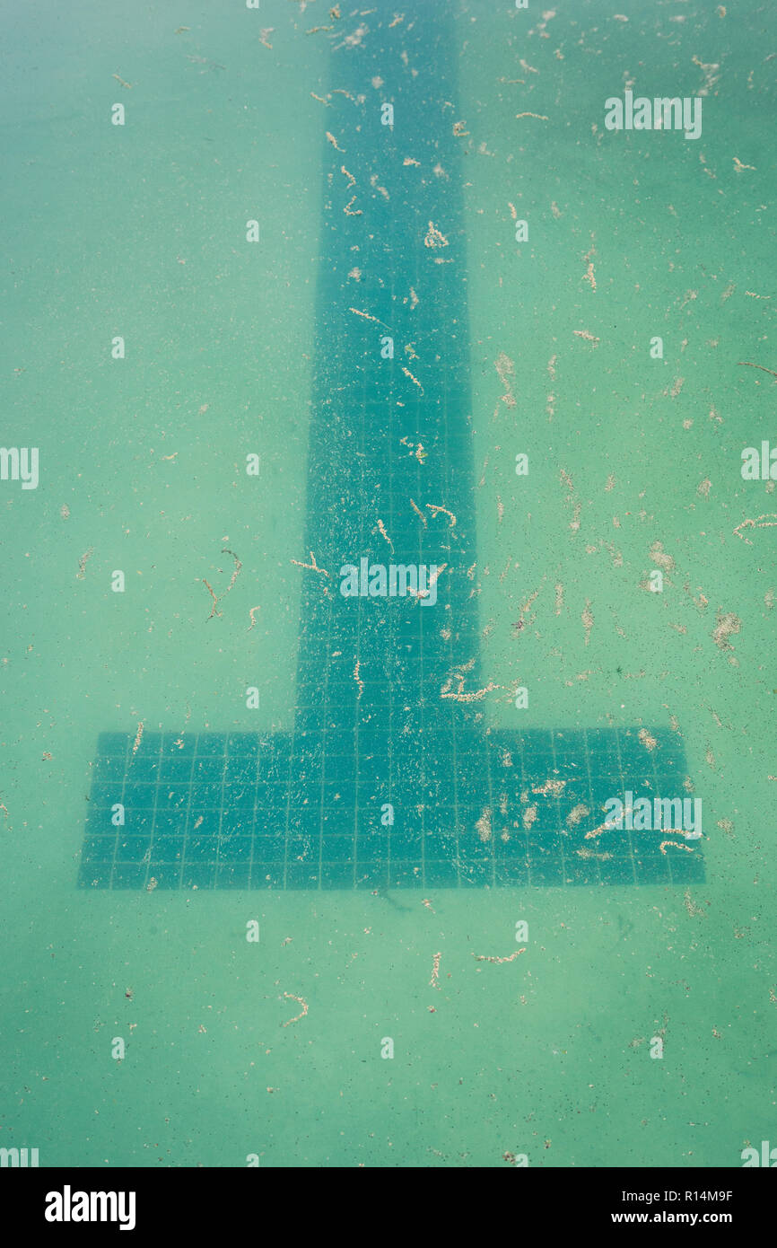 I marcatori di corsia sono visibili nella parte inferiore di un oscuro, la piscina è sporca Foto Stock