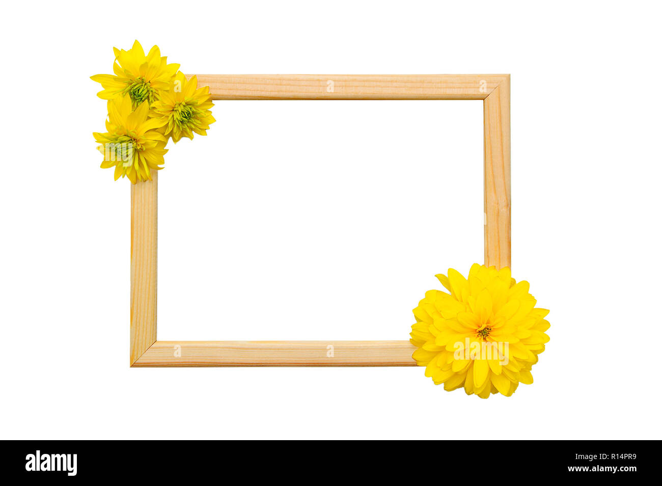 Il telaio in legno per foto con boccioli di giallo Heliopsis fiori. Foto Stock