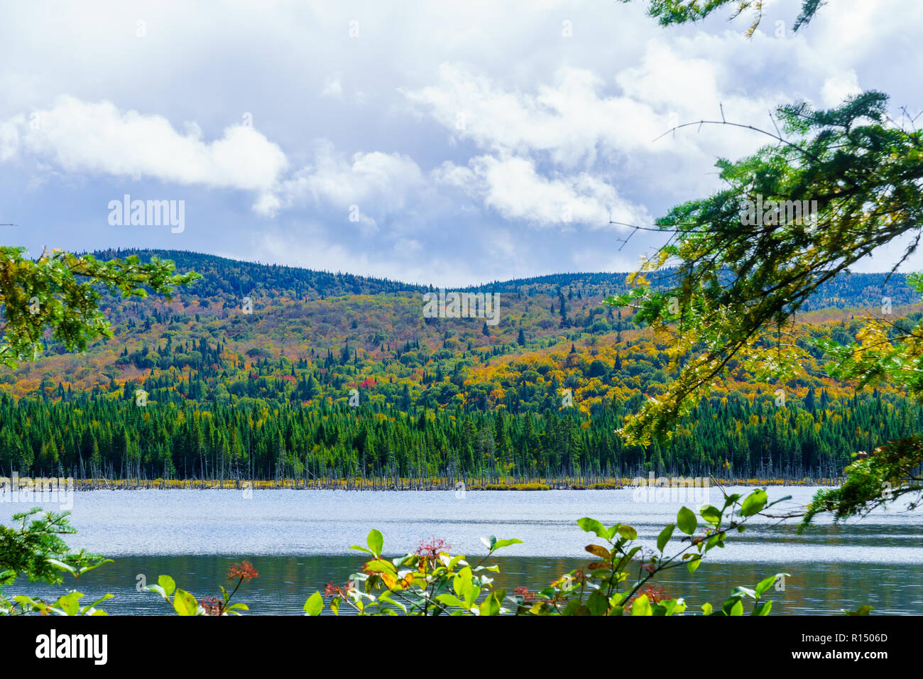 Vista del Lac-des-Dix-Milles lago a Mont Tremblant National Park, Quebec, Canada Foto Stock