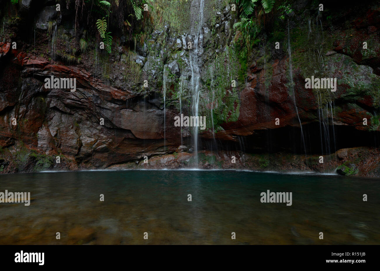 Wasserfall 25 Fontes, Rabacal-Tal, Zentralgebirge, Madeira, Portogallo Foto Stock