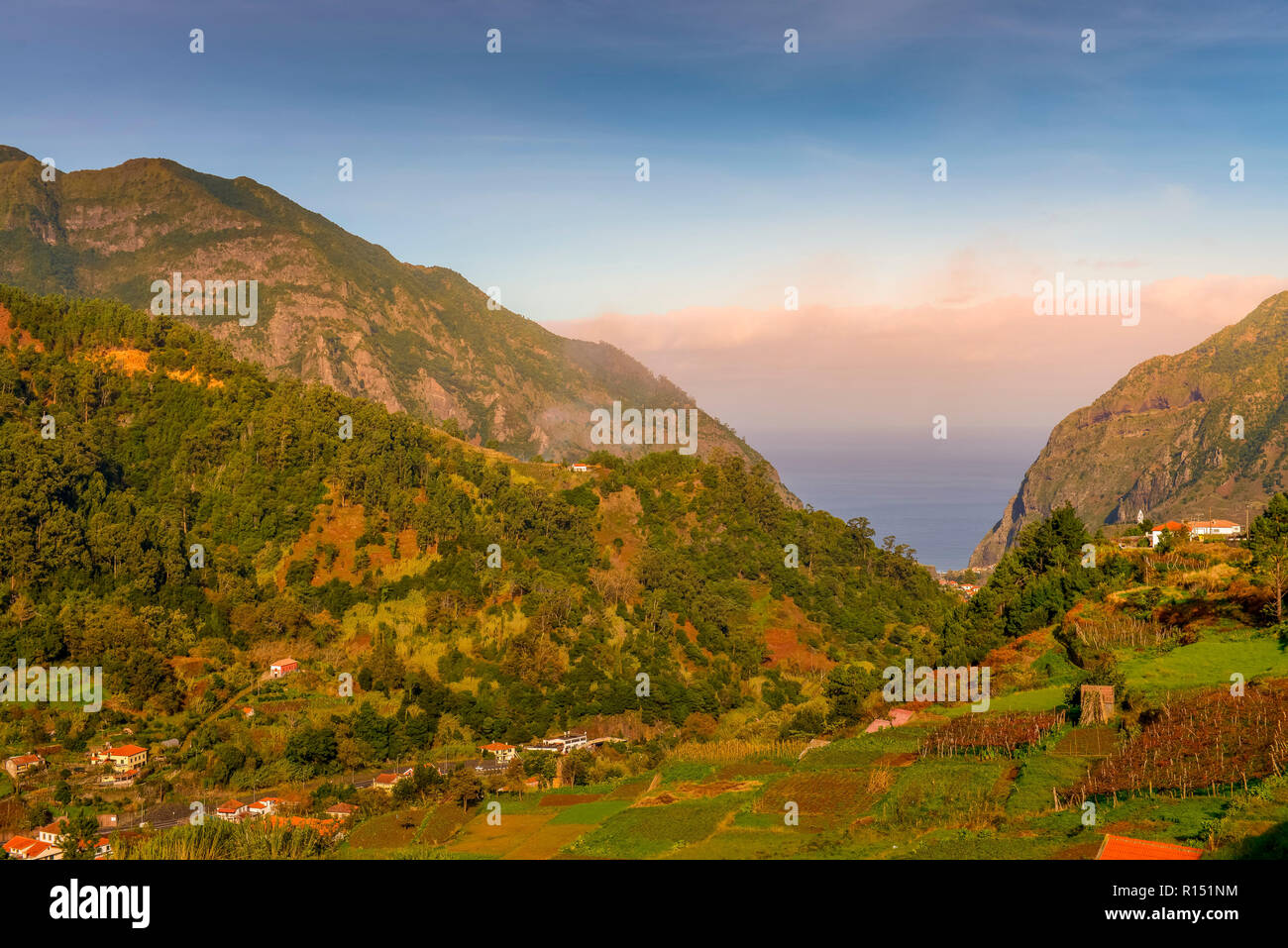 Sao-Vicente-Tal, Madeira, Portogallo Foto Stock