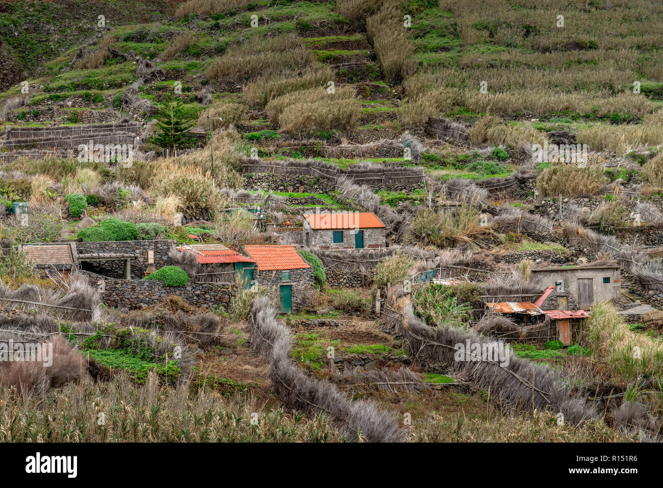 Faja Quebrada Nova, Achadas da Cruz, Madeira, Portogallo Foto Stock