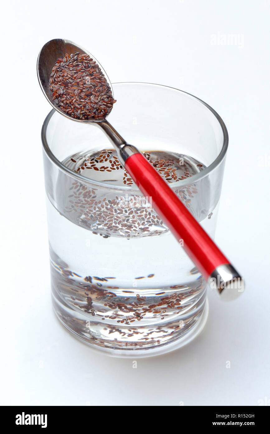 Glas Wasser und Loeffel mit Flohsamen, Sandwegerich, planzago psillio Foto Stock
