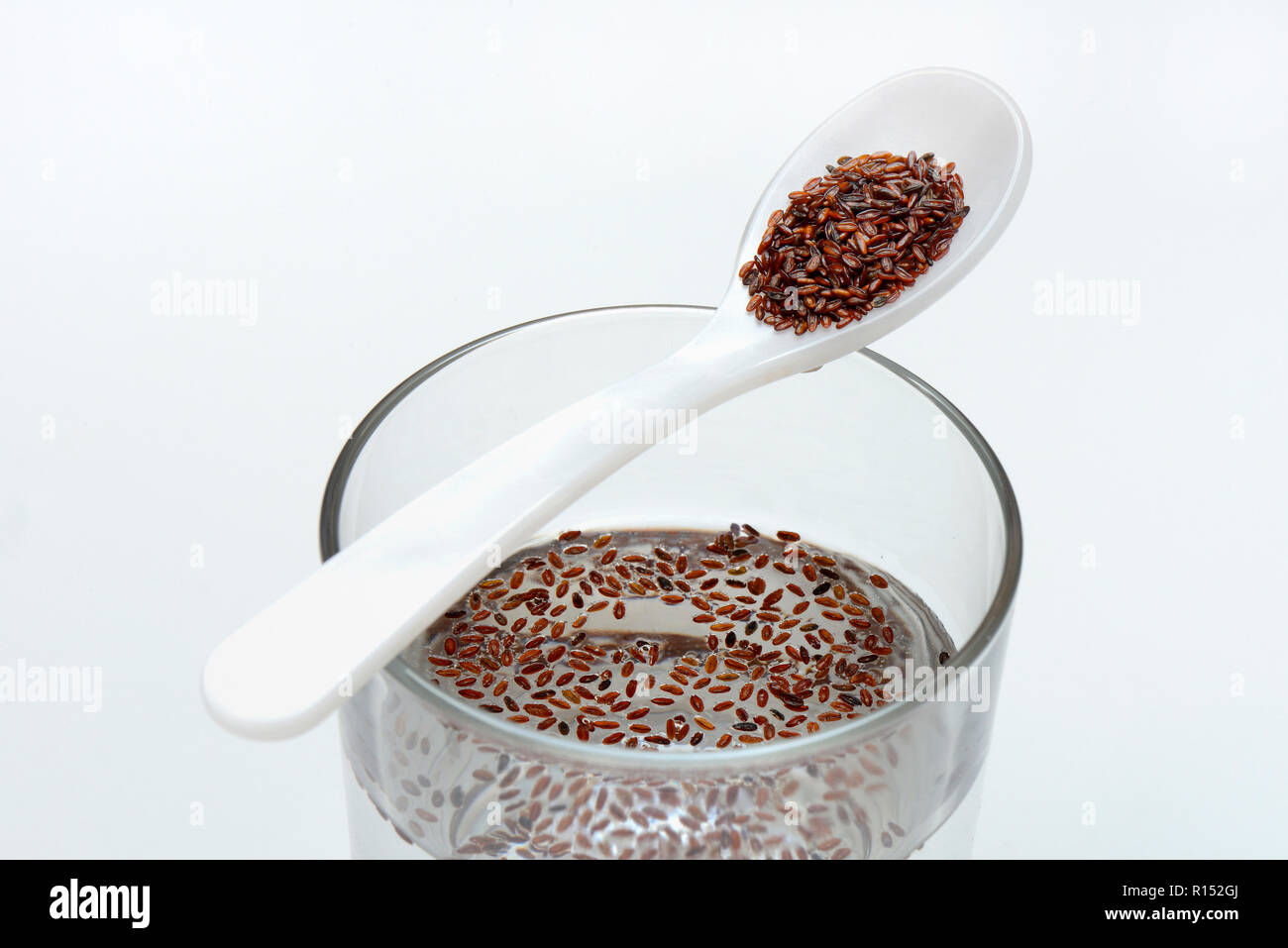 Glas Wasser und Loeffel mit Flohsamen, Sandwegerich, planzago psillio Foto Stock