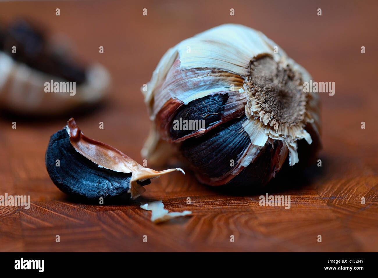 Nero, aglio Allium sativum Foto Stock