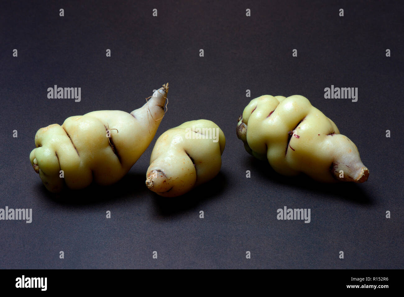 Mashua, Tropaeolum tuberosum Foto Stock