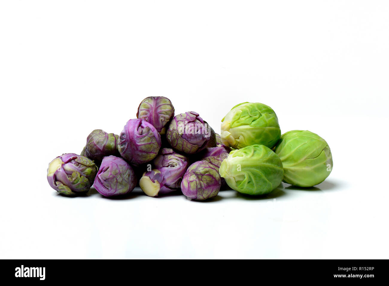 Il viola e il verde i cavoli di Bruxelles Foto Stock