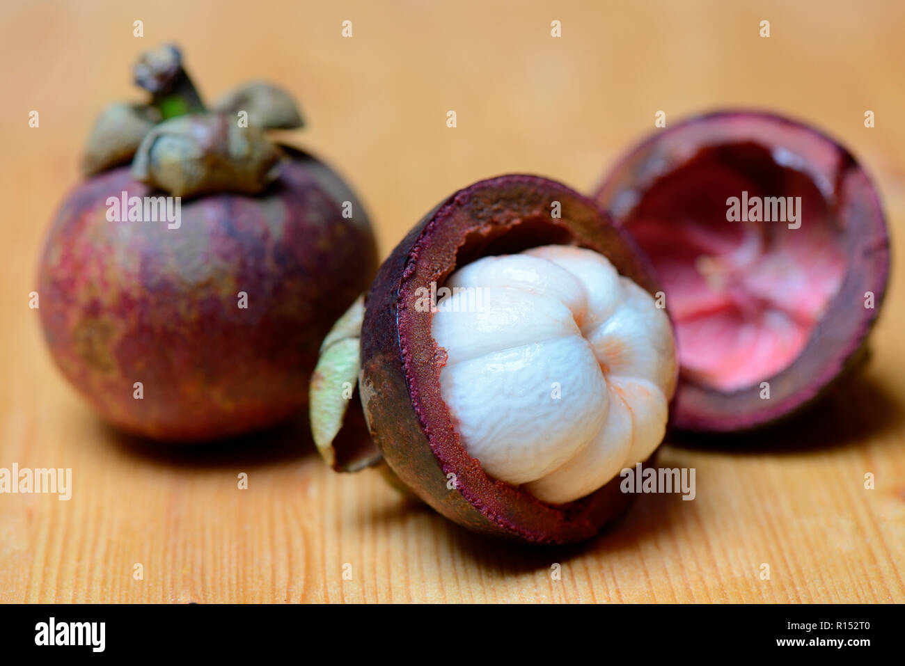 Mangosteen viola, Garcinia mangostana Foto Stock