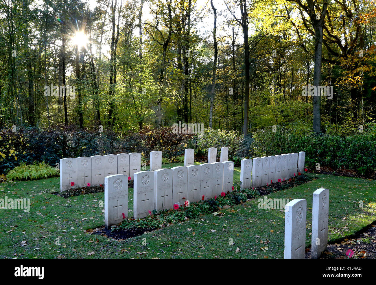 La tomba del capitano Charles Carus Maud del primo battaglione Somerset fanteria leggera in legno Ploegsteert cimitero militare in Belgio. Foto Stock