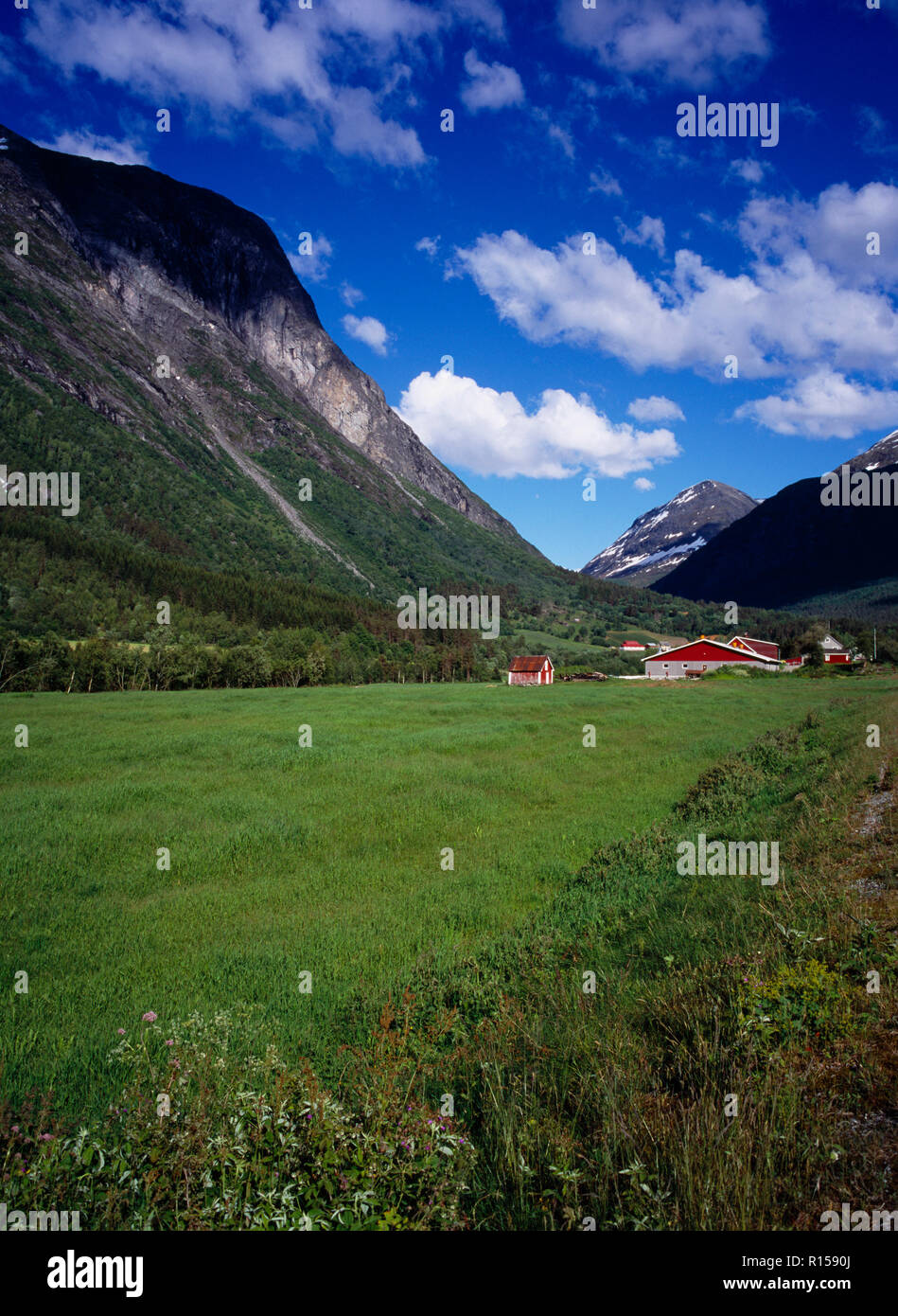 Norvegia, More og Romsdal, facciata ripida Valle agricola di Norddal / Meiedalen con il rosso e bianco verniciato edifici agricoli. Macchie di neve giacente sul picco a cupola di montagna al di là. Foto Stock