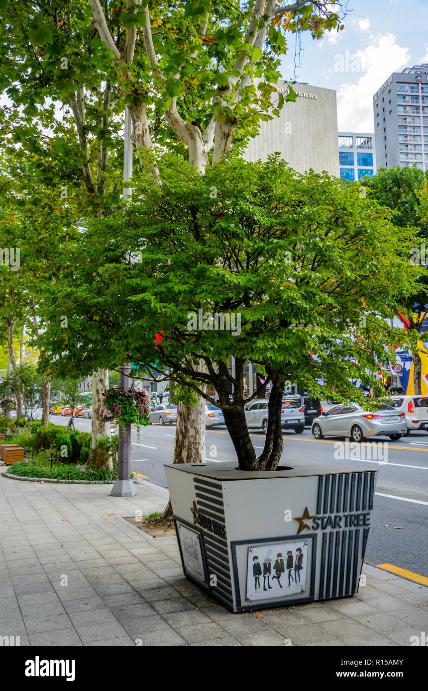 Un 'star tree' n Apgujeong-ro in Gangnam di Seoul Foto Stock
