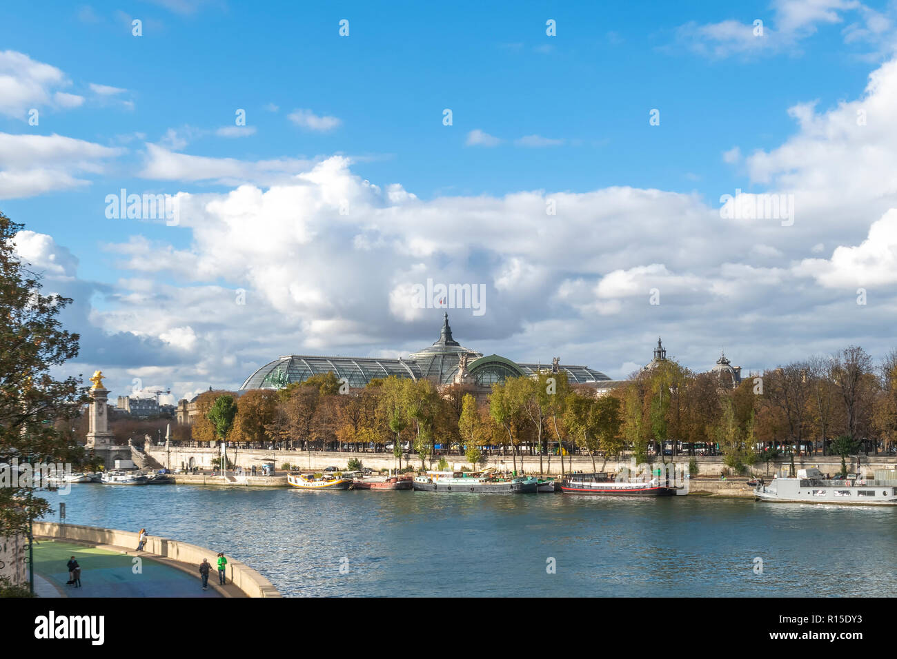 Grand Palais vista dal fiume Senna sotto un vivid blue sky di Parigi Foto Stock