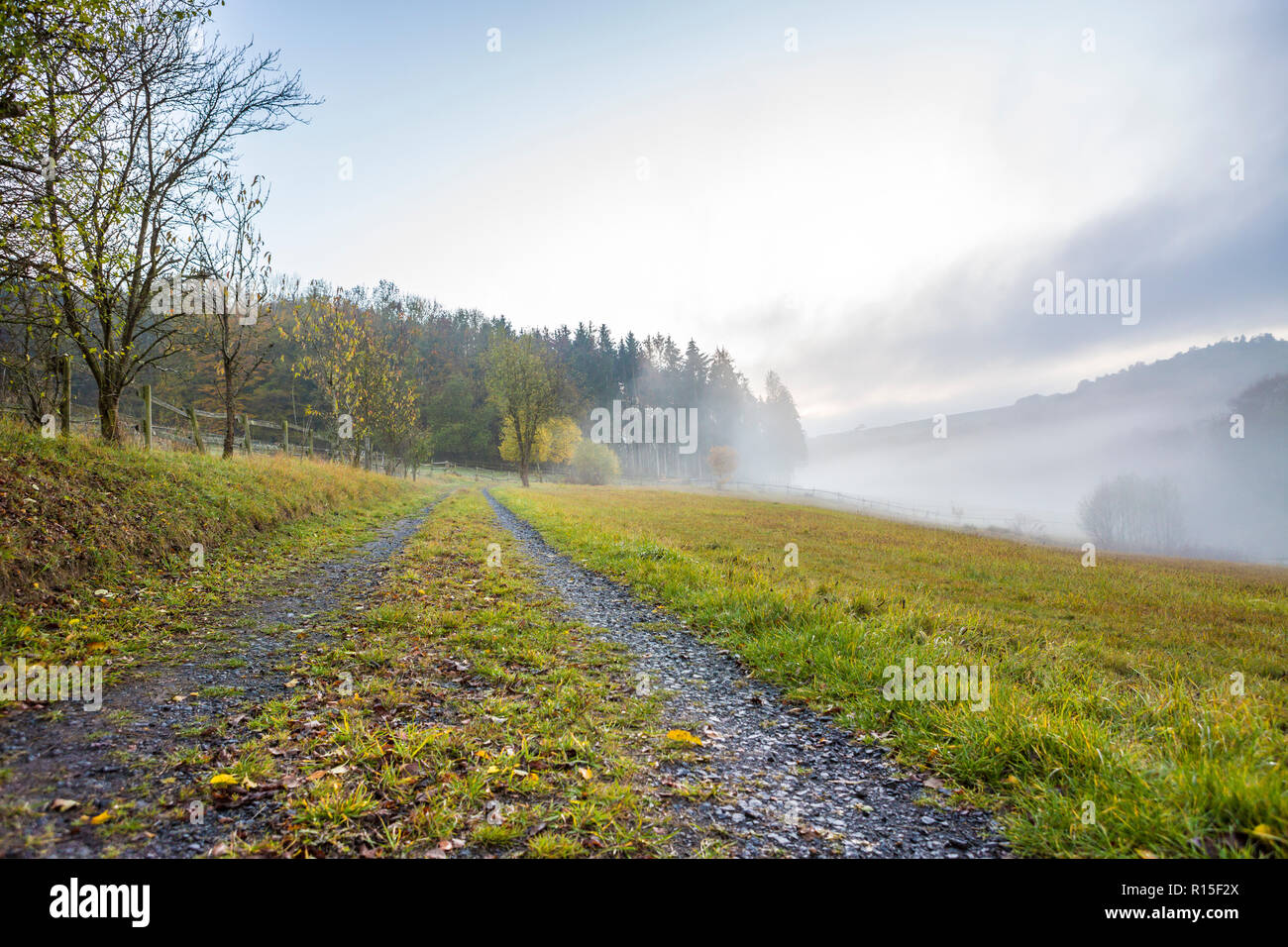 Le vie che conducono verso una foresta in un brumoso paesaggio autunnale, Ulmen, West Eifel campo vulcanico, Renania, Germania, Europa Foto Stock